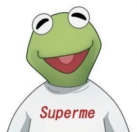 ニート4年生、かえるさん